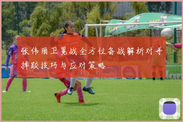 张伟丽卫冕战全方位备战解析对手摔跤技巧与应对策略