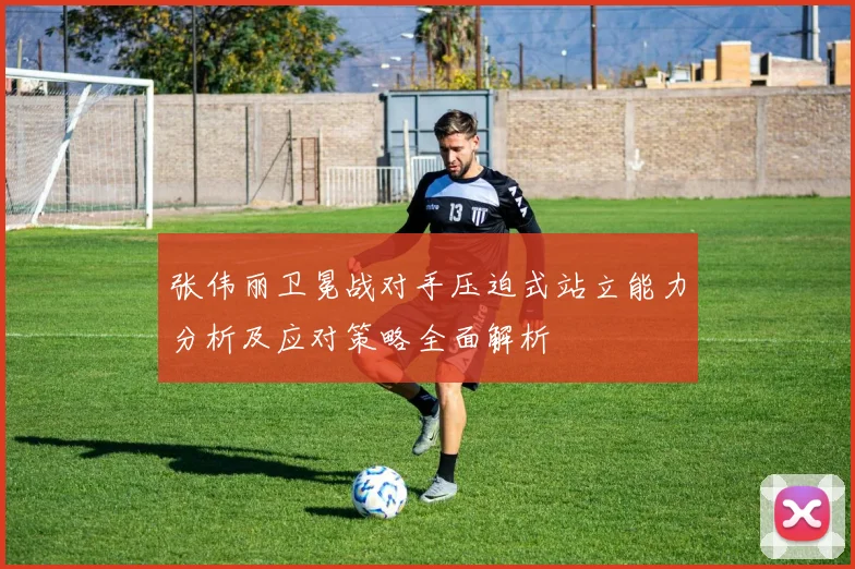 张伟丽卫冕战对手压迫式站立能力分析及应对策略全面解析
