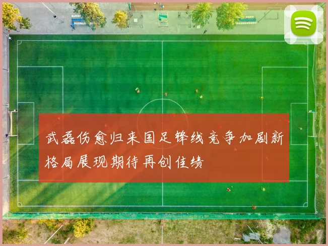 武磊伤愈归来国足锋线竞争加剧新格局展现期待再创佳绩